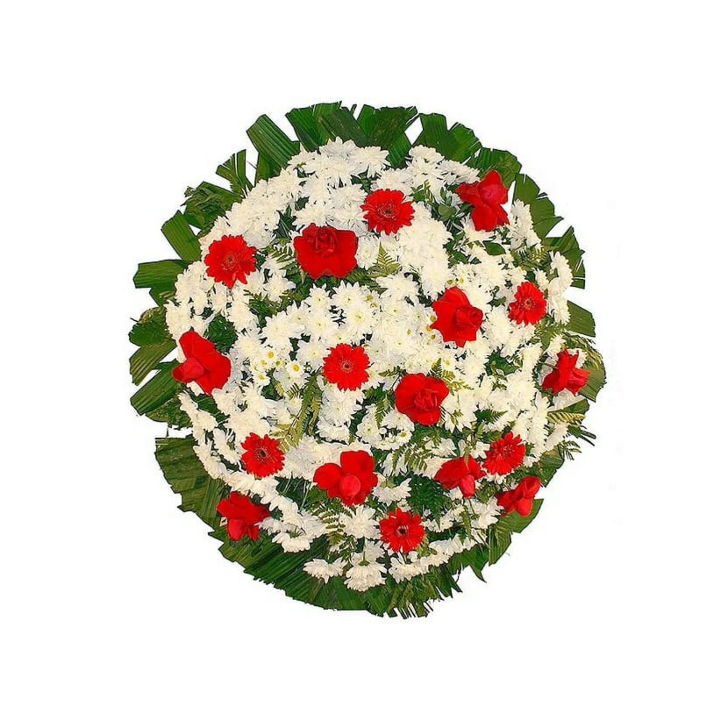 Cora Eterna Homenagem