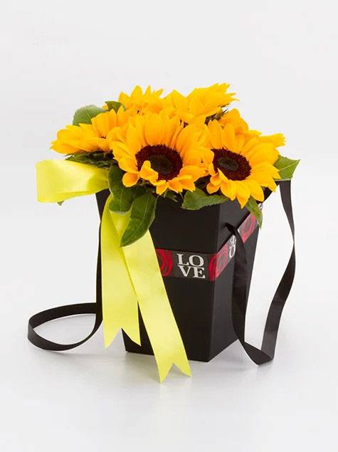 Girassol no cachepô preto com alças