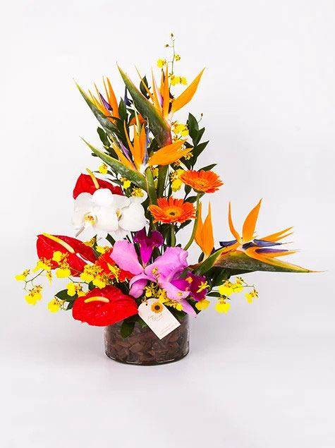 Ikebana tropical com orquidea