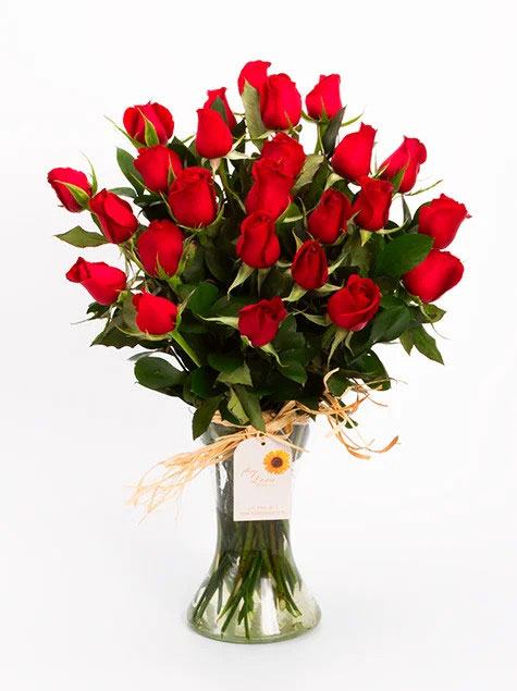 Rosas tipo exportacao