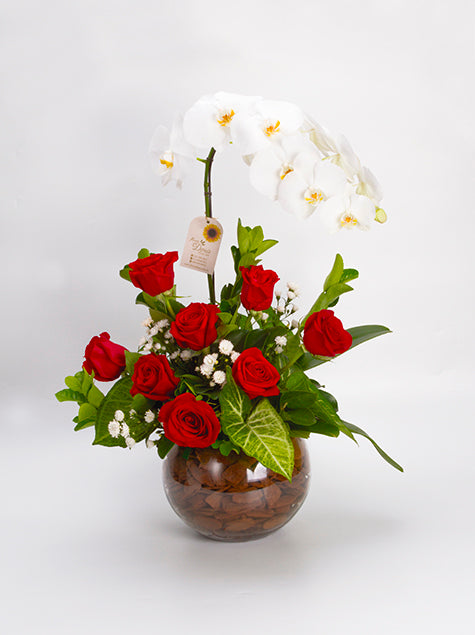 Arranjo com Orquídea Branca e 8 Rosas Vermelhas e no Vaso de Vidro