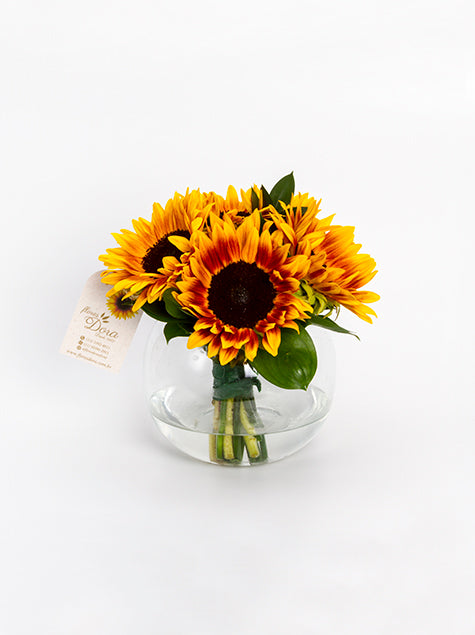 Arranjo com 6 Girassóis no Vaso de Vidro
