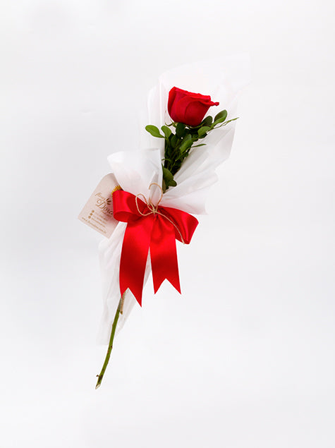 Rosa Vermelha Embalada – Presente Delicado e Cheio de Significado