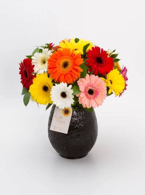 Arranjo de Gérberas Coloridas no vaso preto