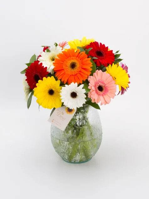 Arranjo de Gérberas coloridas no vaso transparente