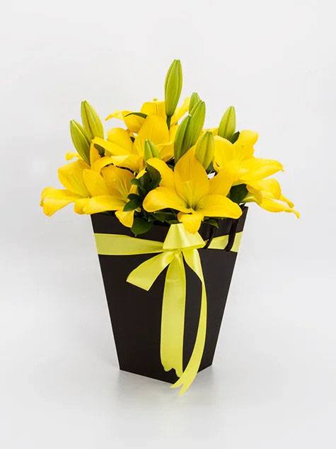 Arranjo de lirios amarelos no cachepo preto