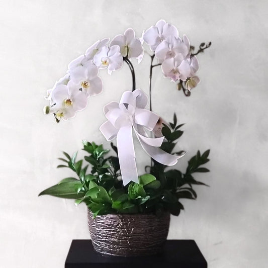 Orquídeas na Cerâmica