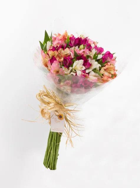 Astromélia no Papel Transparente