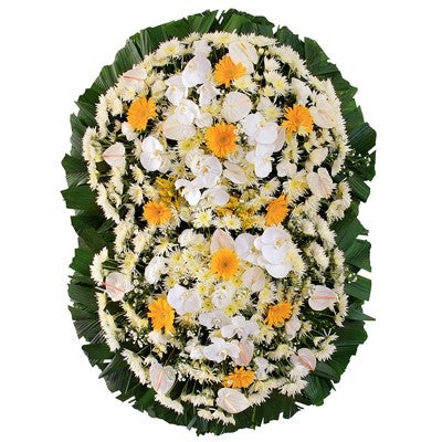 Coroa Premium I - 2.30mts