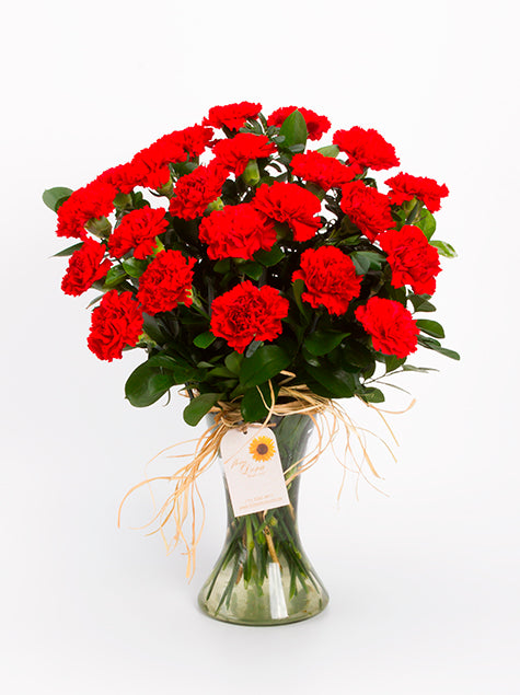Arranjo de 24 Cravos Vermelhos