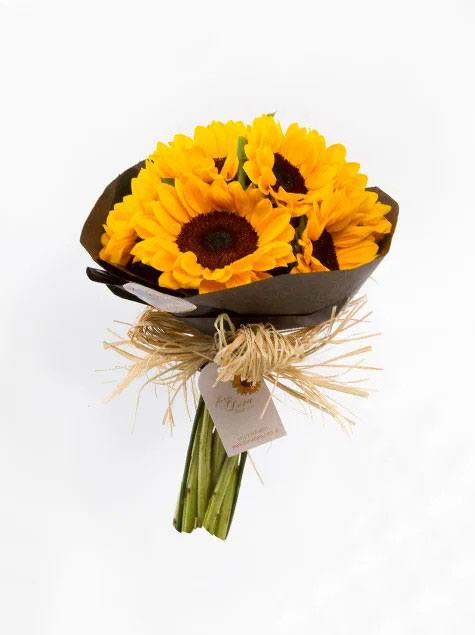 Girassóis no Papel Preto