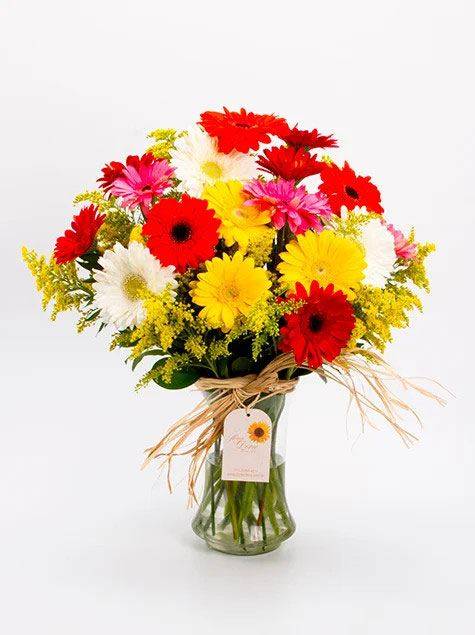 Mix de Gérberas