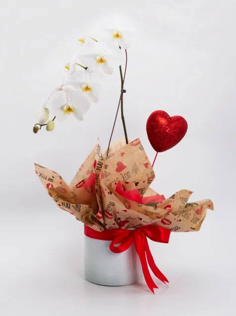 Orquídea Branca no Vaso de Vidro Branco