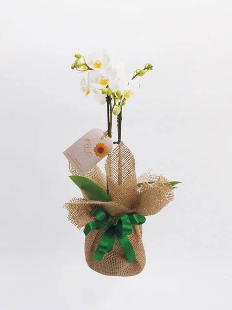 Pequena Orquídea em Ráfia