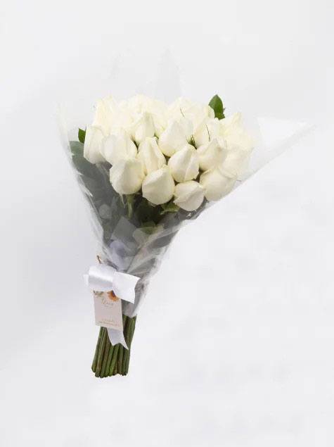 Rosas brancas tipo exportacao