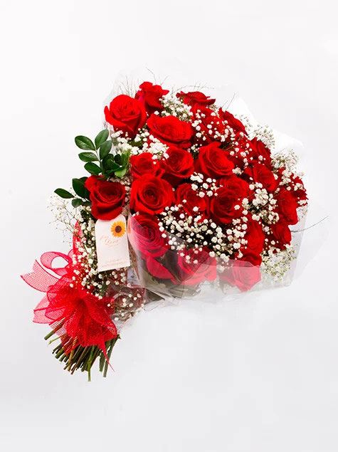 Rosas Vermelhas Colombianas + Chuva de Prata