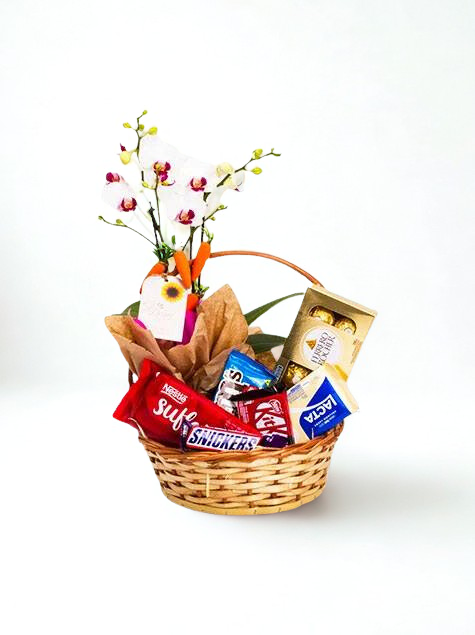 Cesta Mix de Chocolates com Mini Orquídea